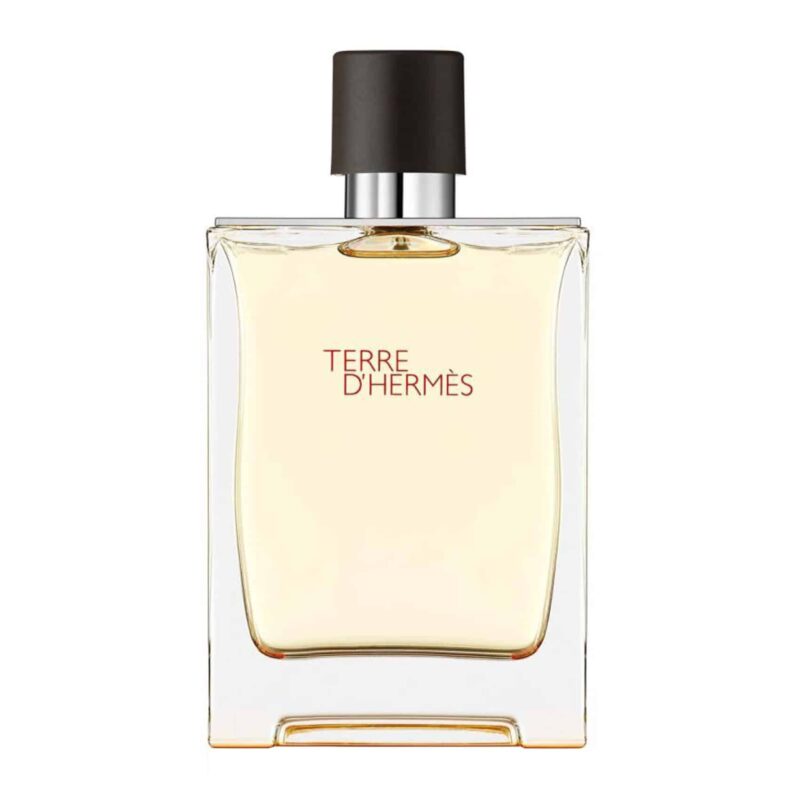 Hermès Terre d'Hermès Eau de Toilette 100ml Spray