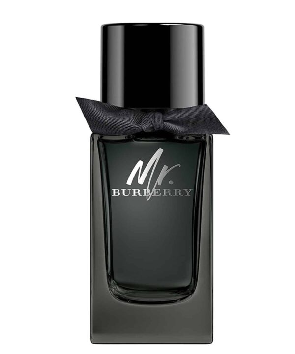 Fragrancefind | Mr BURBERRY EDP 100ml