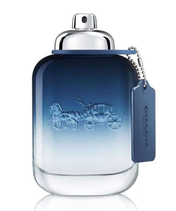 Coach Blue EDT 100ml Spray